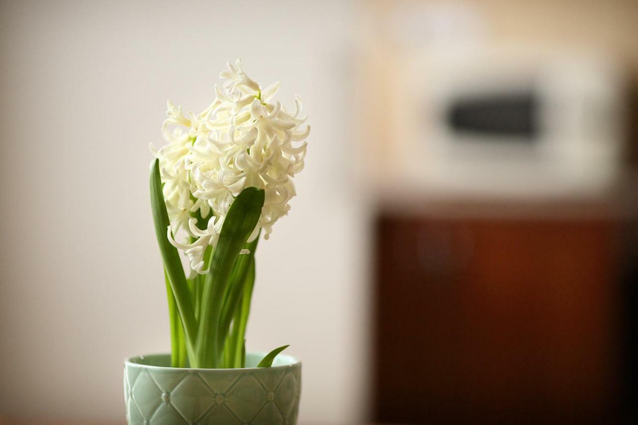 Ecomfort Apartment Kecskemet Bagian luar foto